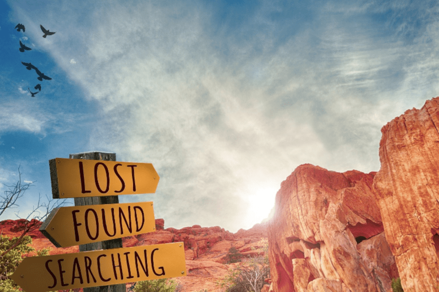 Lost Found Searching